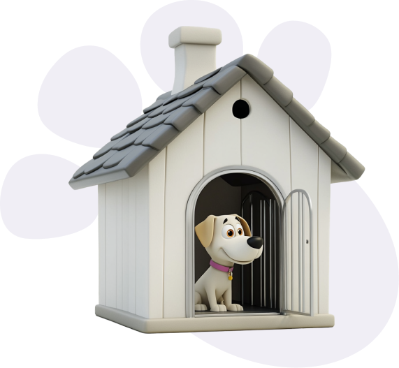 The Problem Shelters Face