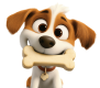 Pet Professionals